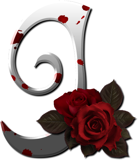 Alphabet Letters, Red Roses, Vii, Initials, Clip Art, - Rose For J Alphabets (500x595)