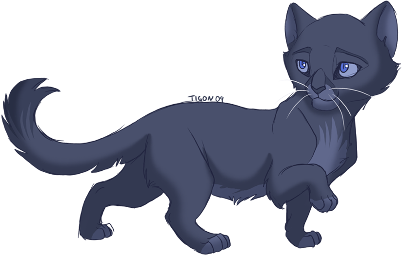 Bluefeather - - Avatar - Warrior Cats Tigon (900x564)