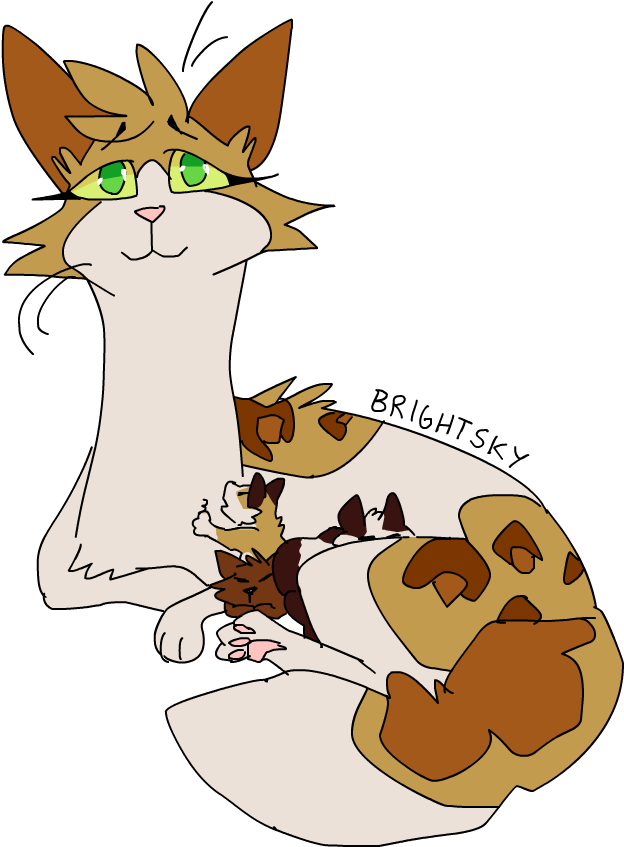 Popular Cat Names (1000x846)