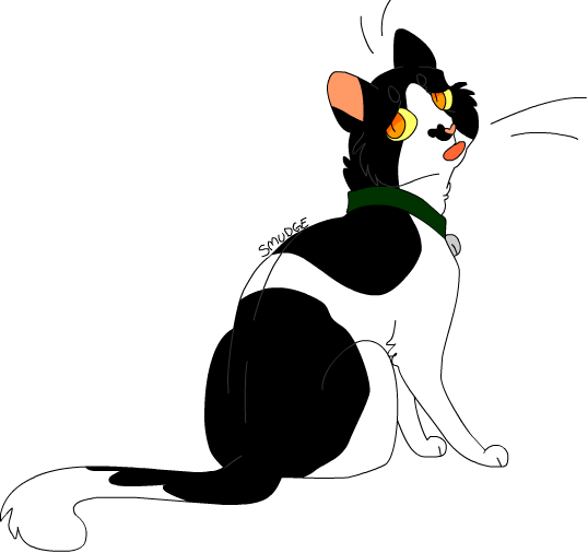 Warrior Cats Wc Smudge Kittypet - Warrior Cats Smudge (538x506)