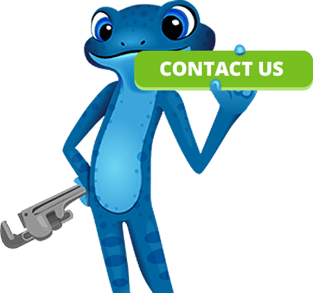 Blue Frog Contact Us - Bluefrog Plumbing (451x422)