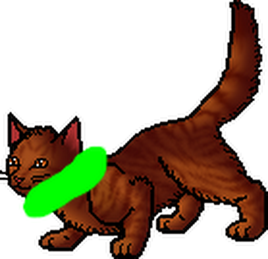 Photo - Warriors (530x511)