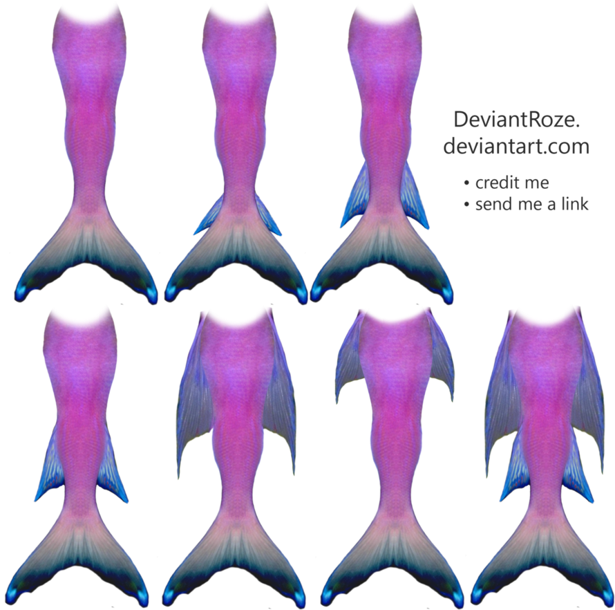 Cute Mermaid Tail Drawing - Drawing A Mermaid Tail (889x899)