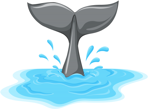 Dolphin Tail Cliparts - Whale Tail Clipart (500x375)