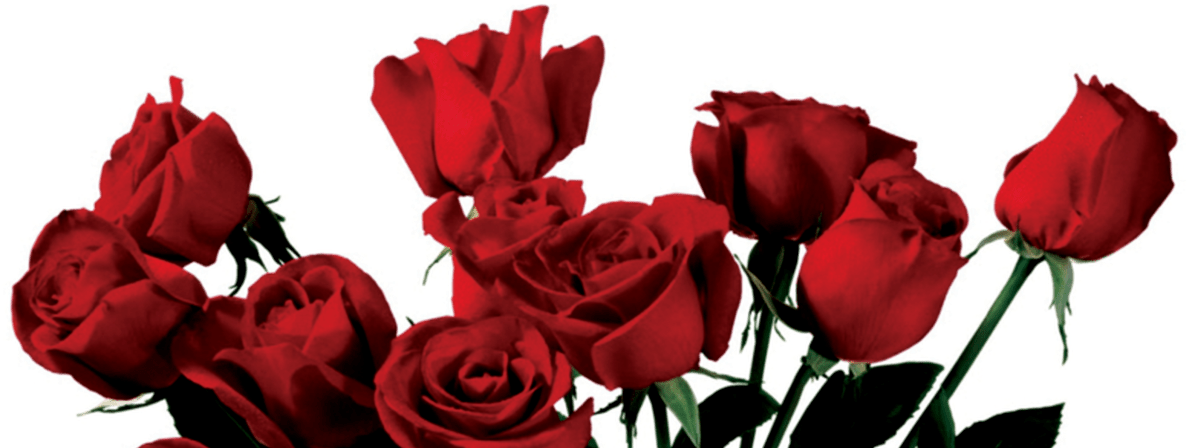 Rose Clipart Png Tumblr Pencil And In Color Rose Clipart - Global Gallery 'bouquet' By Jenny Thomlinson Painting (1368x855)