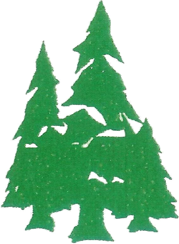Home - Solutions - Christmas Tree (578x780)