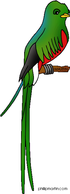 Pets Clipart Pet Bird - Clip Art (264x648)