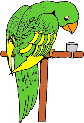 Color Pictures Of Birds - Parrot Coloring Pages (400x490)