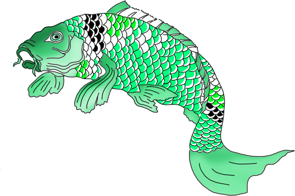 Colorful Koi Fish Drawings - White (1049x755)