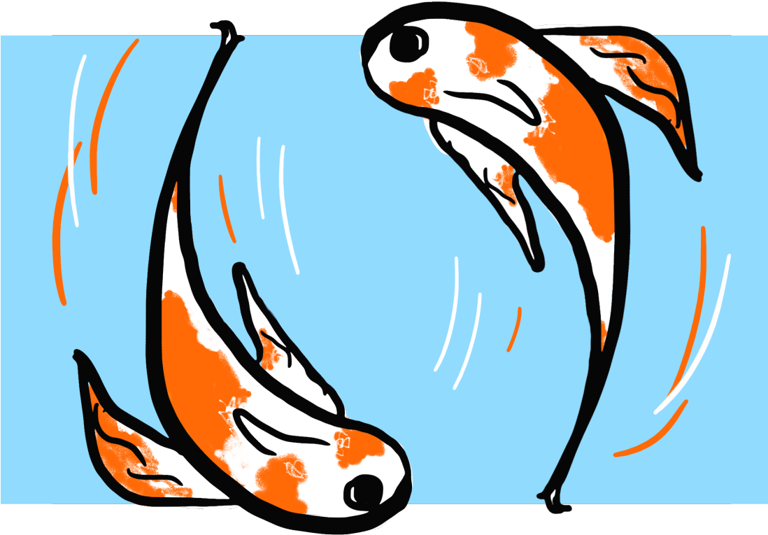 Koi - Flynn Coulden-smith - Koi - Flynn Coulden-smith (1097x1920)