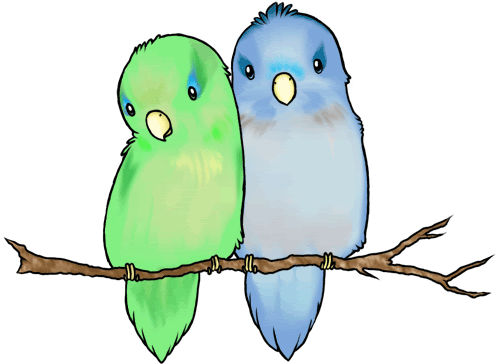 Drawn Lovebird Little Bird - Parrotlet Drawing (500x500)