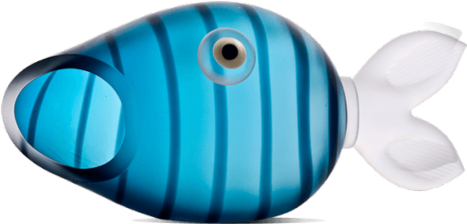 Koi Schale - Pomacentridae (550x550)