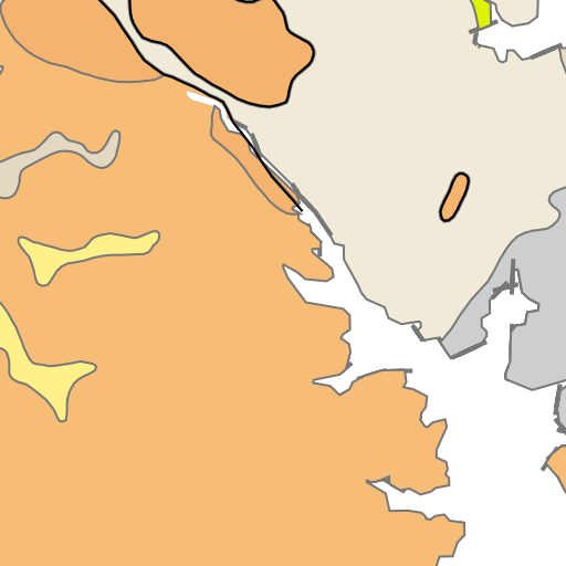 Regional Geology - Animal (512x512)