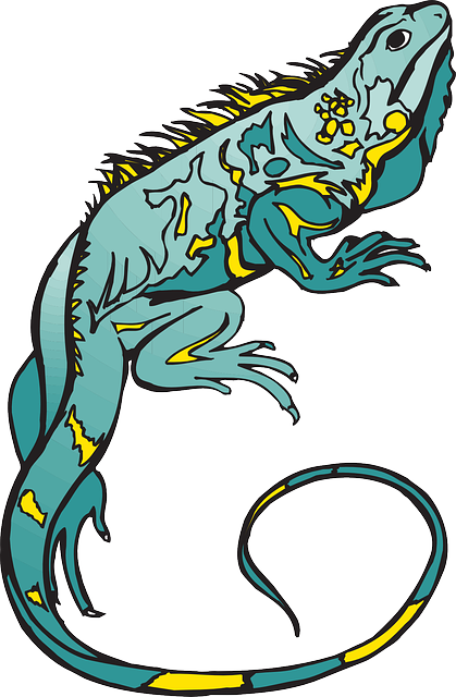 Curled Blue, Yellow, Colors, Chameleon, Reptile, And, - Bunglon Png (838x1280)