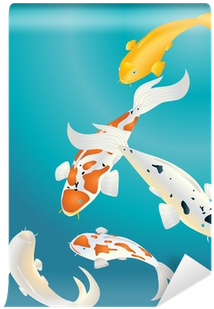 Koi Karpfen (400x400)