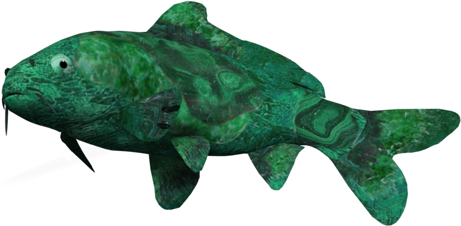 Nefrit Koi Fish By Dpak0n-cah - Wrasses (1024x515)