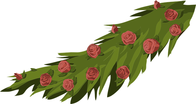Flowers, Roses, Floral, Arrangement - Romantic Flowers Transparent Png (639x340)