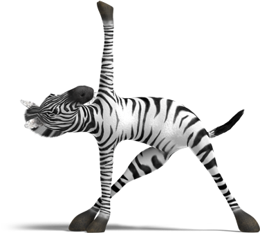 Zebra - Yoga (399x350)
