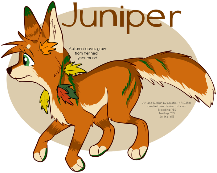 Fennec Fox Clipart Female Fox - Cartoon (729x600)