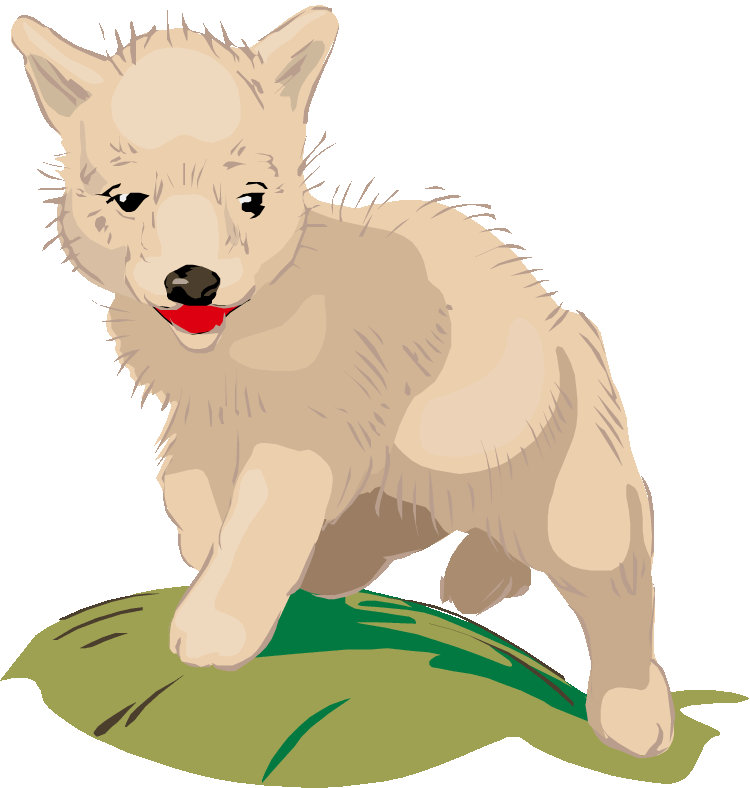 Coyote Clipart Baby - Coyote Pup Clip Art (750x788)