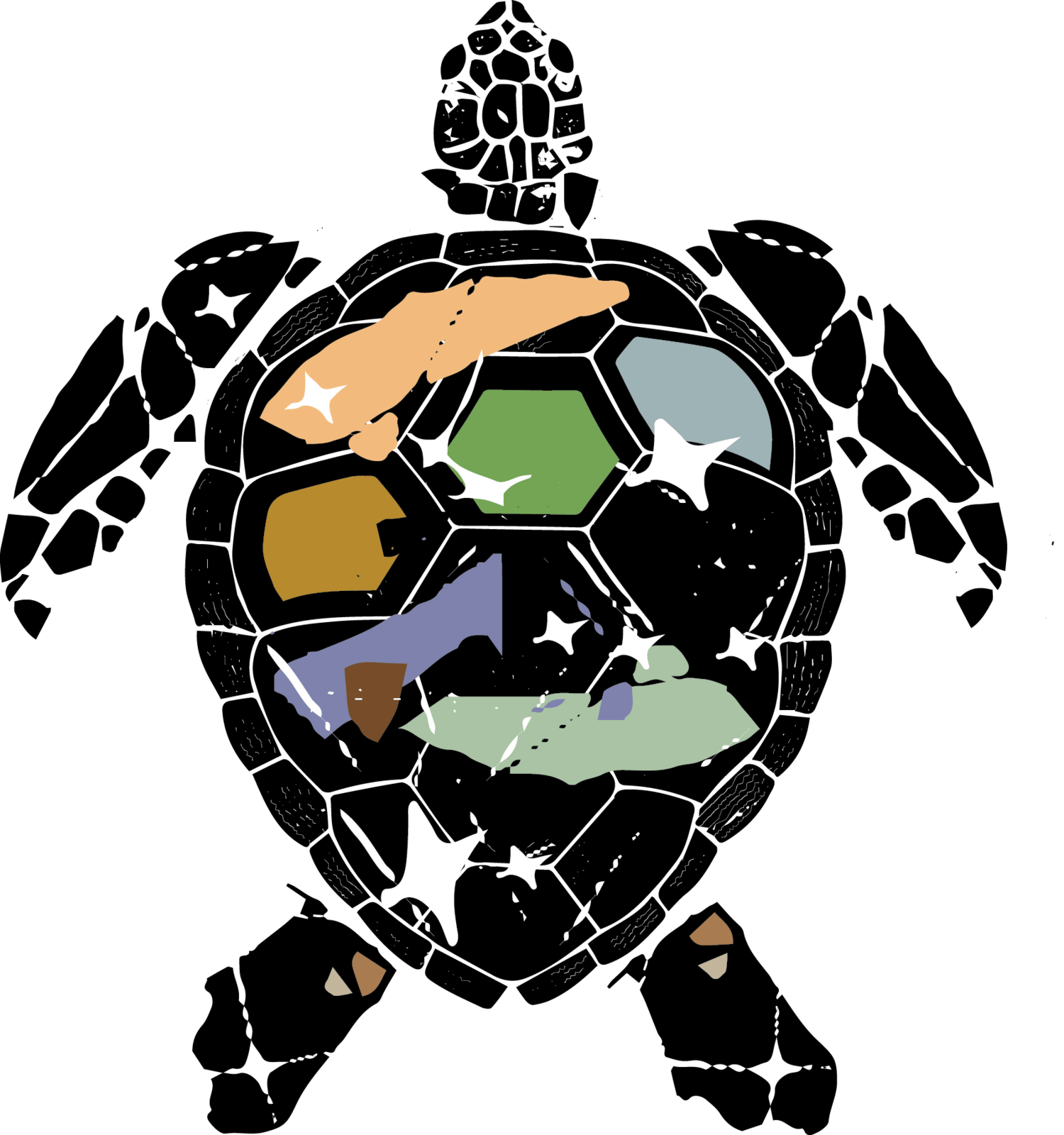 Hawksbill Sea Turtle Artwork From "wildlife - Turtle Art Transparent (1500x1600)