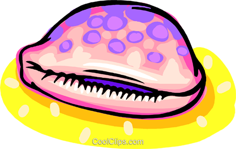Concha Livre De Direitos Vetores Clip Art Ilustração - Molluscs (480x302)