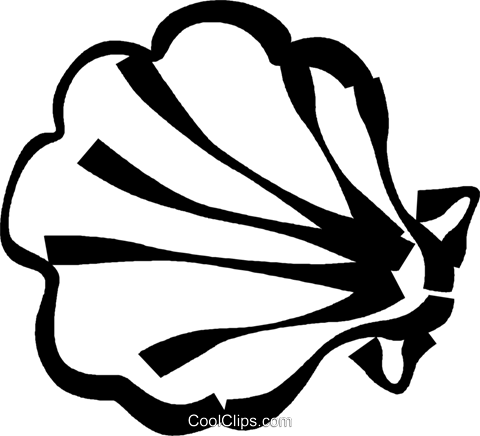 Conchas Do Mar Livre De Direitos Vetores Clip Art Ilustração - Conchas Do Mar Livre De Direitos Vetores Clip Art Ilustração (480x436)