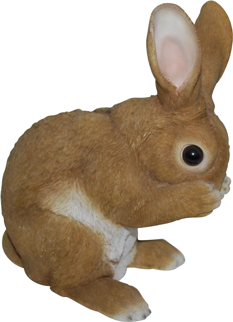 Standing Dutch Rabbit - Vivid Arts Real Life Standing Rabbit - Xrl-rb10-d (1548x1590)
