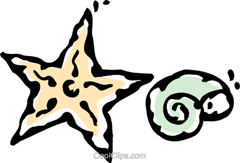 Estrela Do Mar E Conchas Livre De Direitos Vetores - Clip Art (480x327)