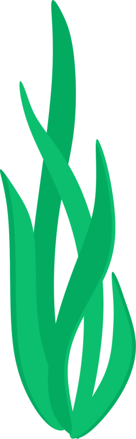 Sea Grass Clipart Grass Background Pencil And In Color - Algas Marinhas Desenho Png (280x900)