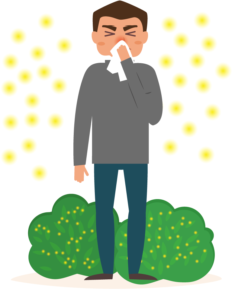 Hay Fever - Allergy (817x981)