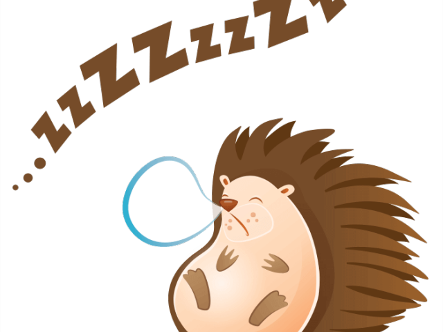 Hedgehog Clipart Sleeping - Riccio Che Dorme Disegno (640x480)