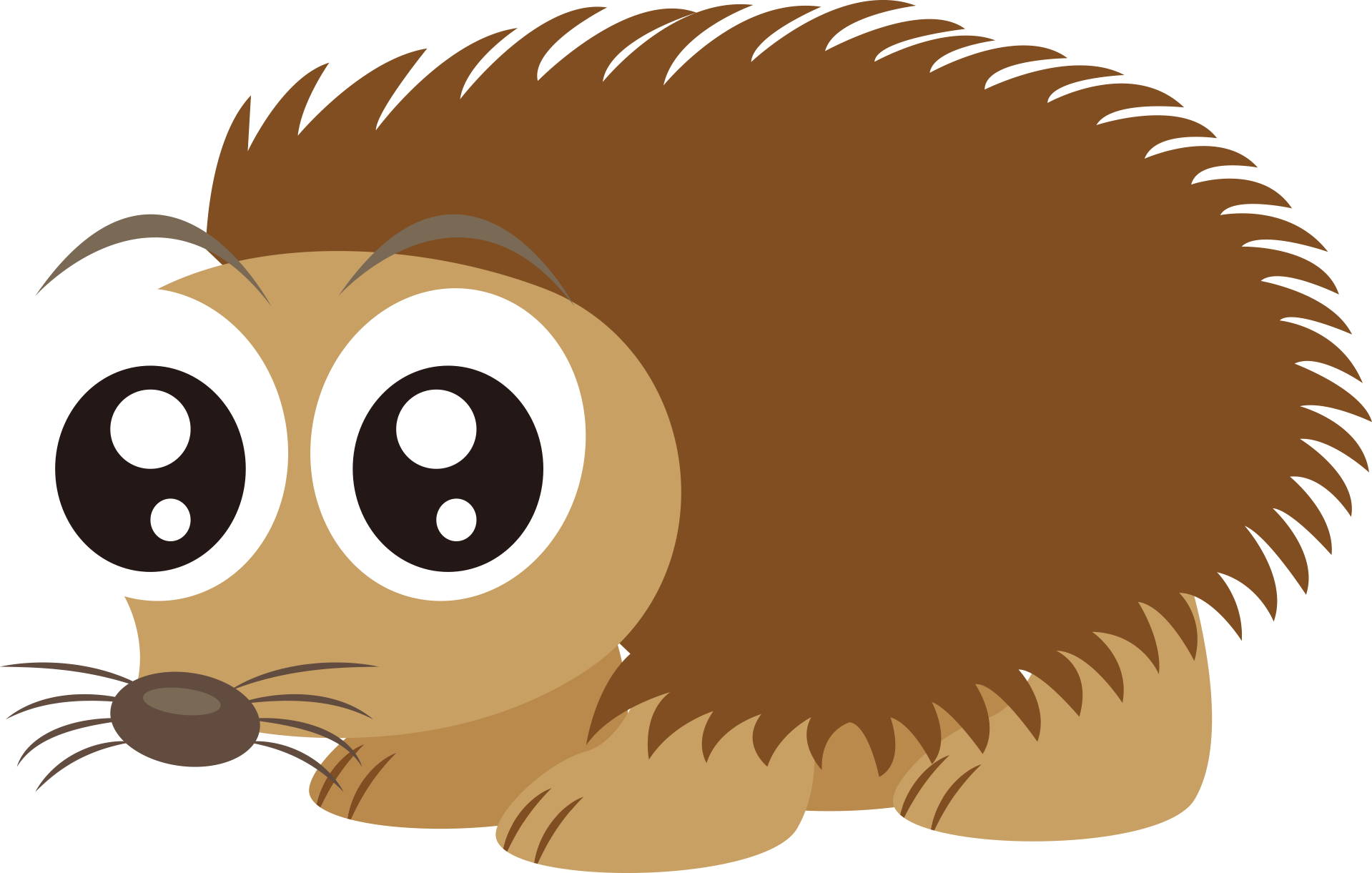 Hedgehog Rodent Whiskers Mouse Rat - Hedgehog (1919x1221)