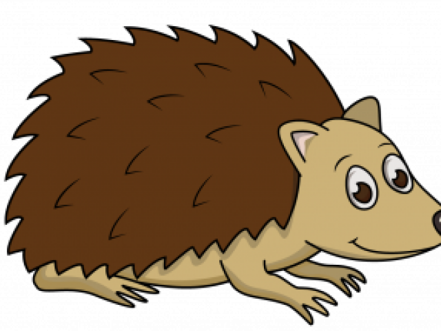Drawn Hedgehog Forest Animal - Marsh Rice Rat (640x480)