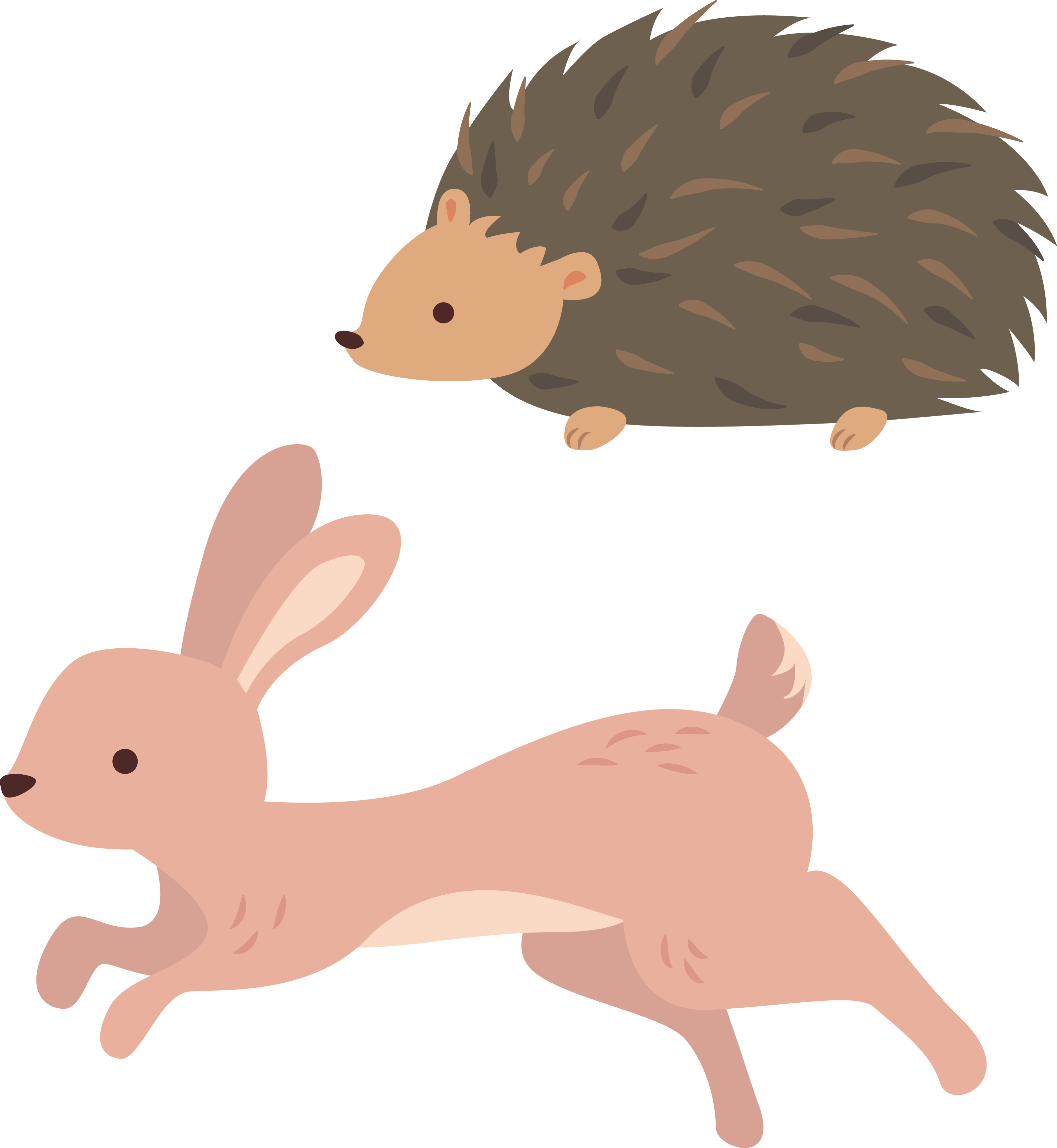 Domestic Rabbit Hedgehog Clip Art - Hare (3180x3453)