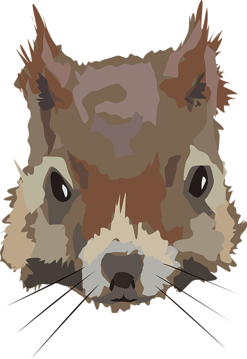 Hedgehog Cliparts Free 23, Buy Clip Art - Mammal (495x720)