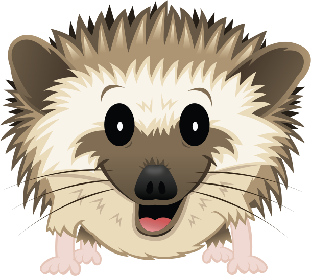 Hedgehog - Transparent Cartoon Hedgehog Png (609x540)
