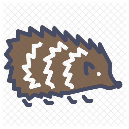 Hedgehog Icon - Animal (512x512)