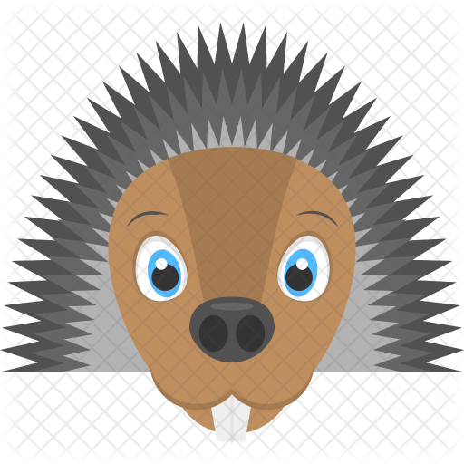 Hedgehog Icon - Starburst Icon (512x512)