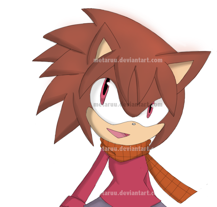 Delia The Hedgehog By Metaruu - Cartoon (885x700)