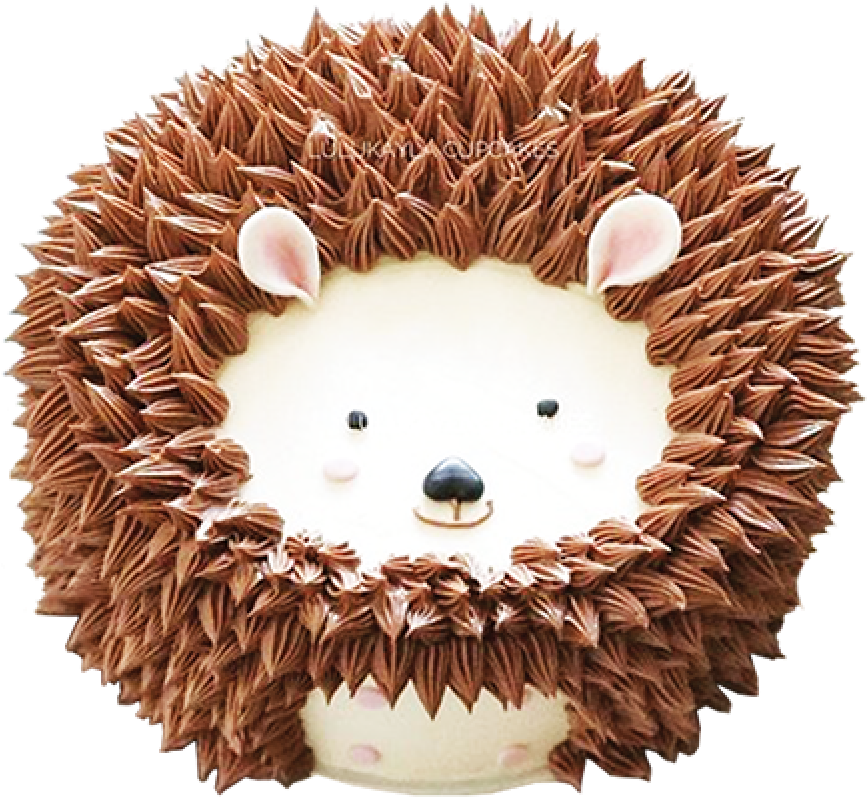 Hedgehog - Bolo Decorado Incríveis (1000x1000)