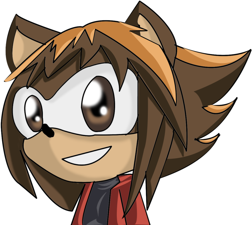 Jaden The Hedgehog 1 By Jadenyugi9 - Jaden The Hedgehog (900x788)