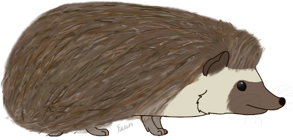 Aslyta 6 1 Hedgehog By Fawnflight - Porcupine (600x298)