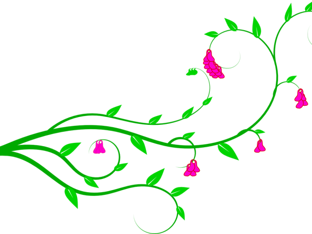 Flower Vine Clipart - Transparent Vines And Flower Clipart (640x480)