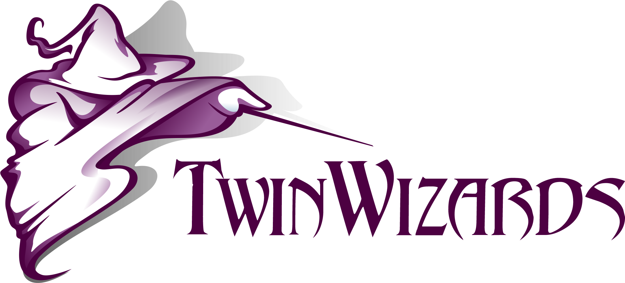 1024 Twin Wizards Logo Large - Wildcard / Dark Night Of The Soul (2251x1052)