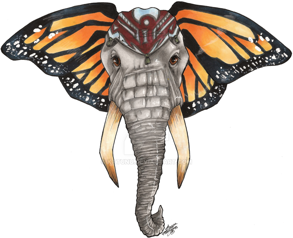 Elephant With Butterfly Ears Drawing - Elephant With Butterfly Ears Drawing (1024x831)