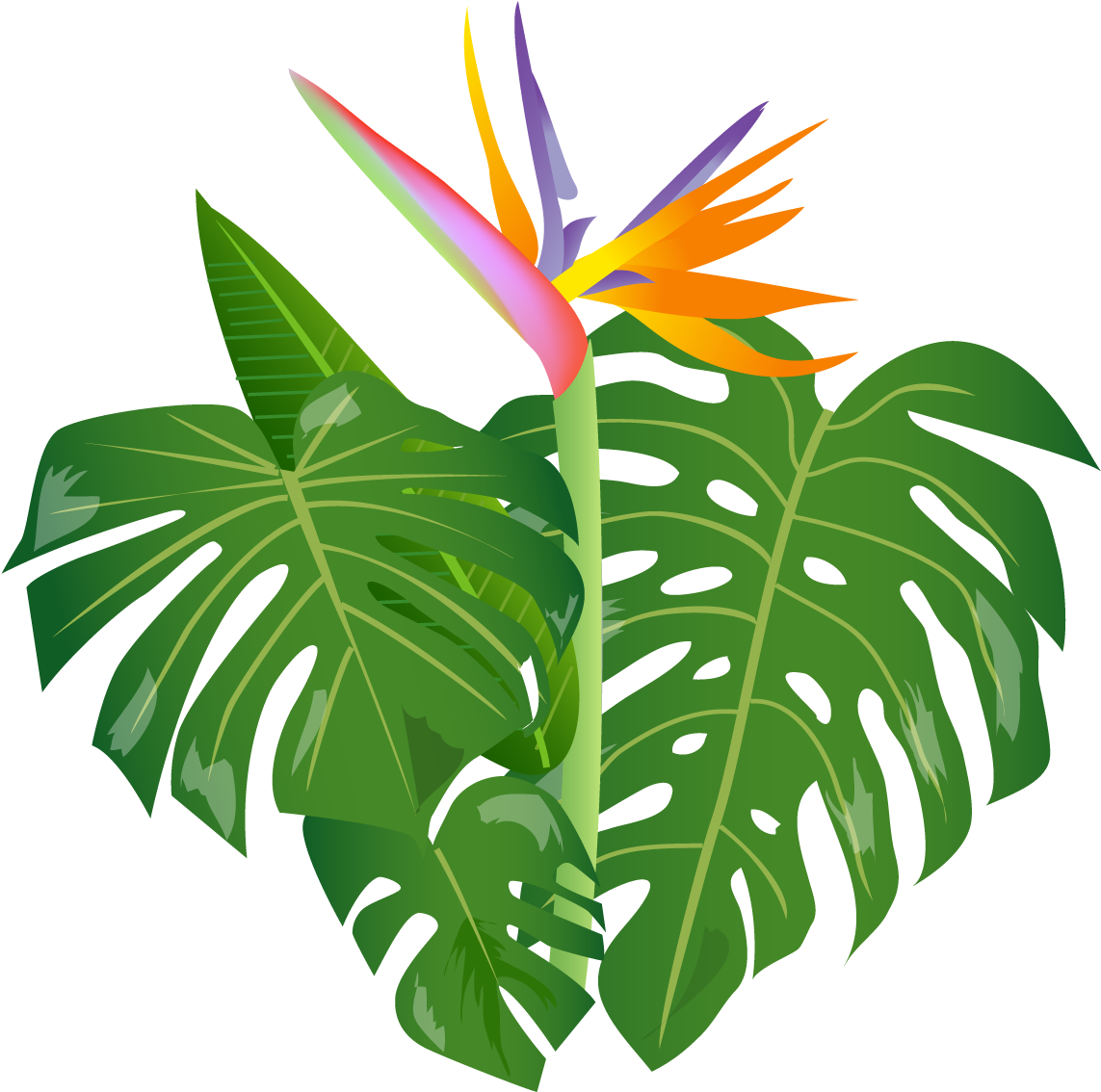 Jungle Leaves - Leaves Jungle 3d Png (1281x1173)