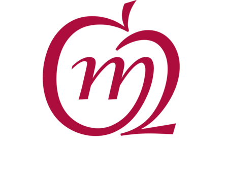 Red Apple Charm - Bracelet (449x359)