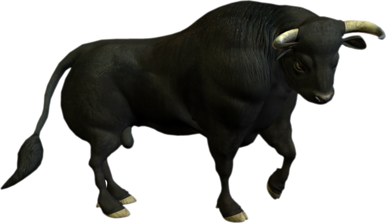 Cattle Charging Bull Clip Art - Bull Png (768x444)