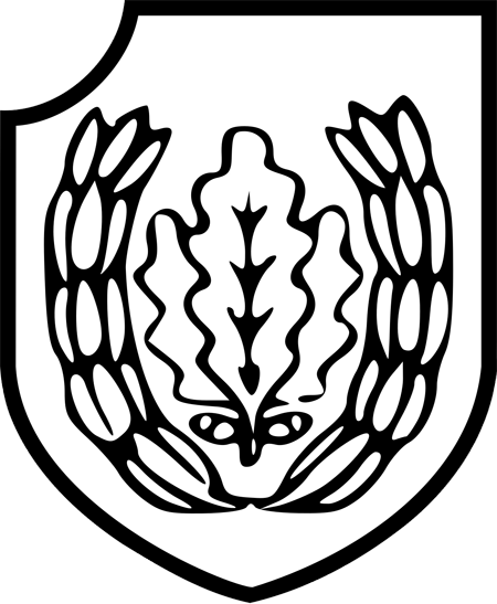 Rf-ss Division Emblem - Reichsführer-ss (450x547)